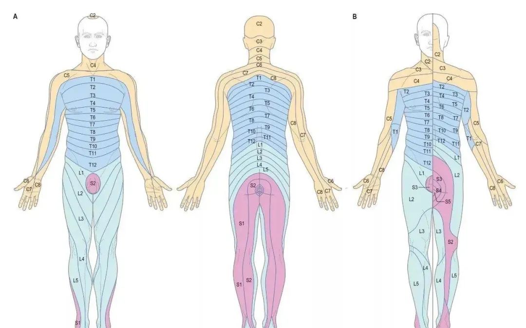 395f023d12bdec0018e4d680aad1ba01