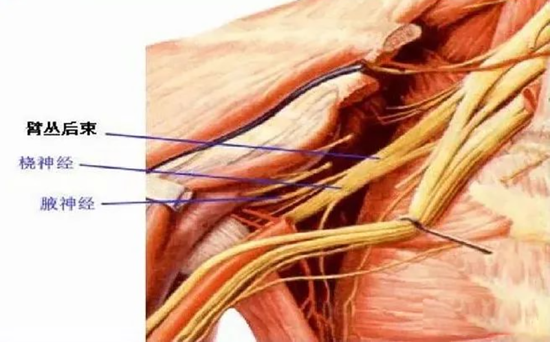 c2bf1c863e7ab60955d190c1131a2923