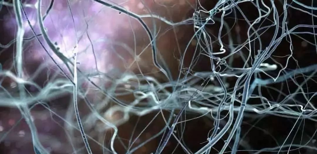 1335a37189916802612794c87b97d320 1335a37189916802612794c87b97d320