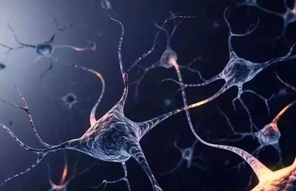 d8c1eaa13c51538acca7f6cd8a9eed61