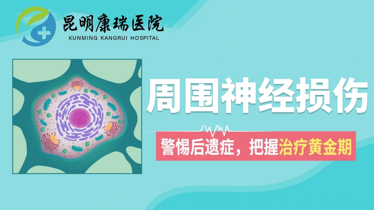 组合 371
